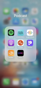 Screenshot iPhone Podcast App Anbieter Icons