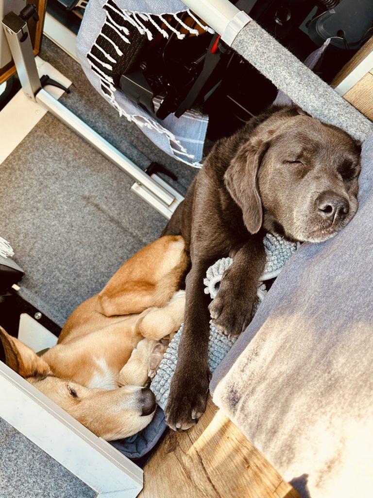 Jan & Cathleen - Blaue Citrone